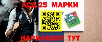 прущие грибы Конаково