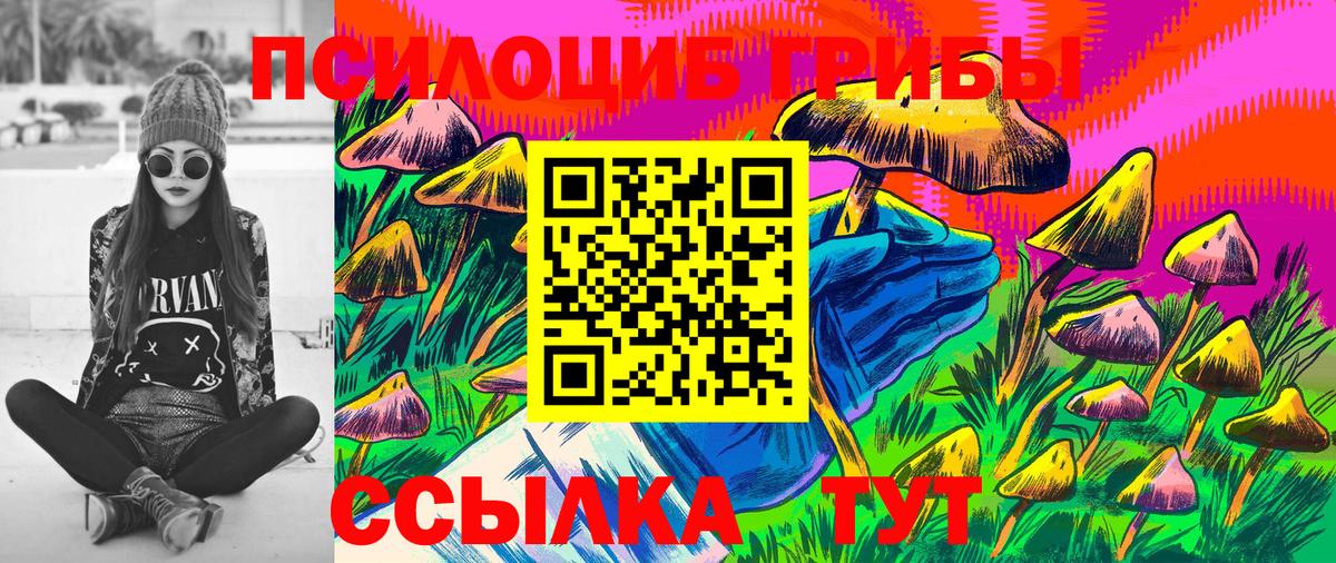 Псилоцибиновые грибы прущие грибы  Вход с VPN  Кемерово 